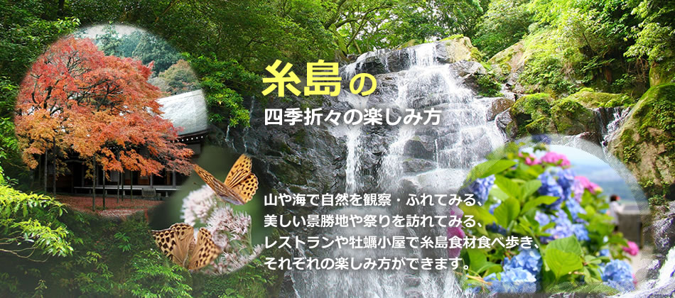 季節に応じて楽しむ　おすすめ情報