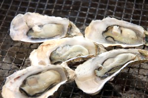 糸島牡蠣小屋