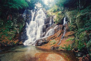 白糸の滝