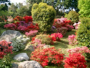 浮岳幸花樹園