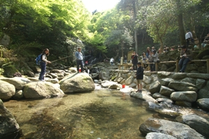 白糸の滝　やまめ釣りまつり