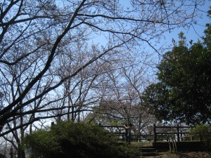 IMG_6092