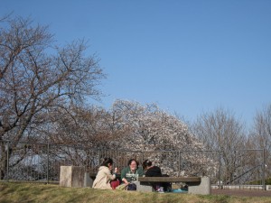 IMG_6117