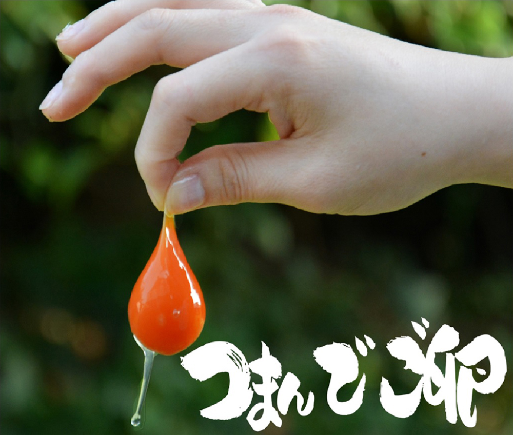 有限会社　緑の農園
